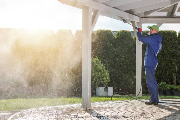 Best Fence Cleaning  in Macon, MS