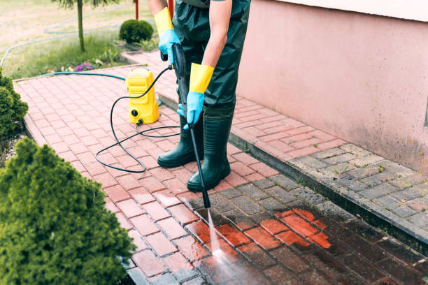 Best Building Exterior Washing  in Macon, MS